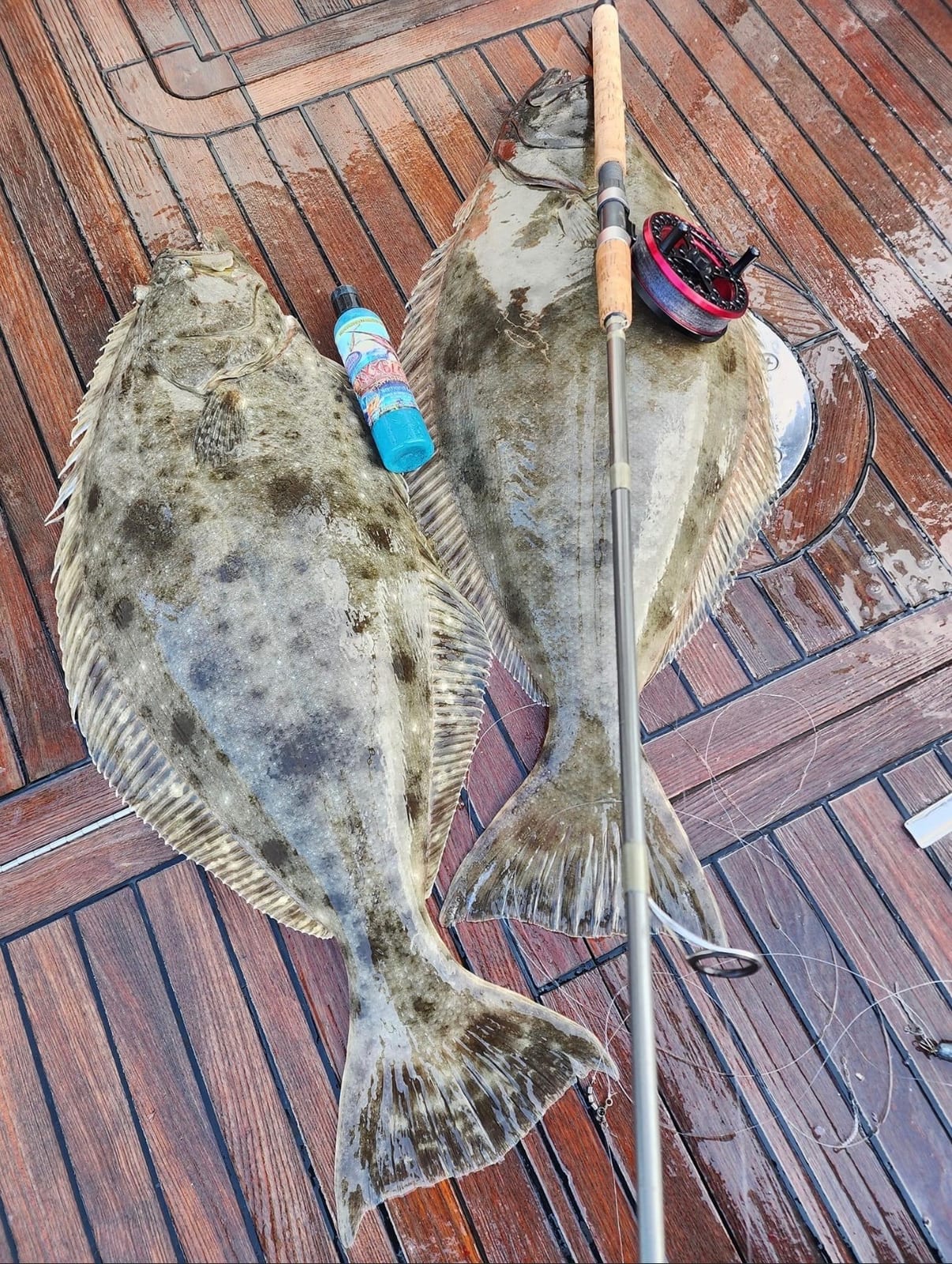 On the water with Ardent Angling