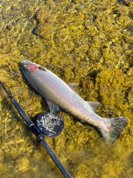 On the water with Ardent Angling