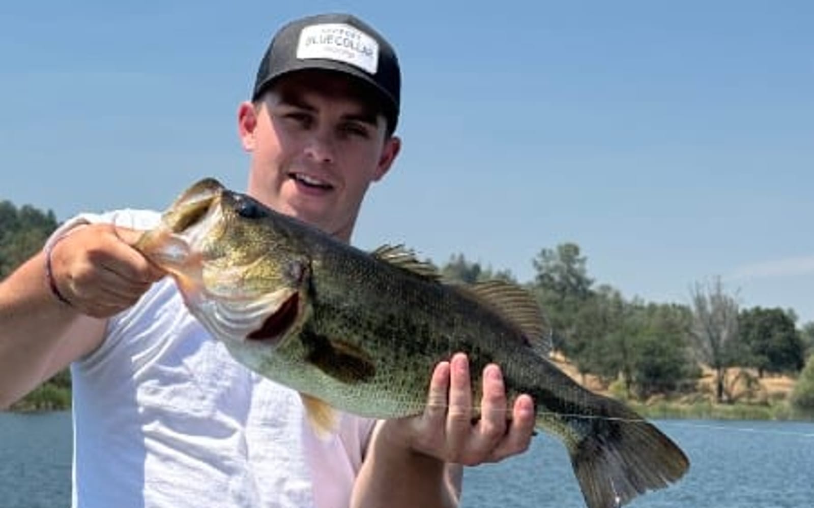 Lake Sonoma, reservoir