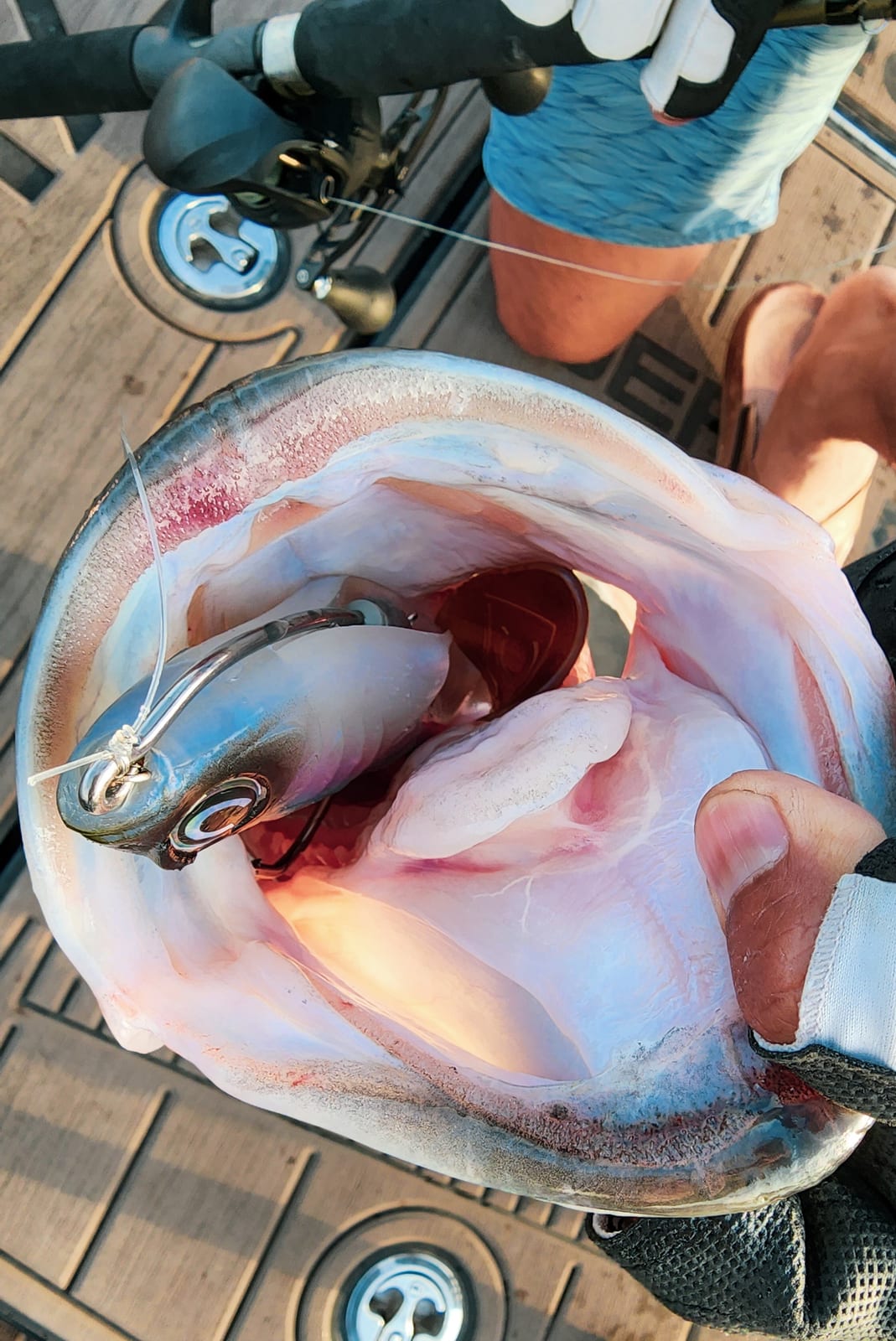 Big Bass Dreams on the water