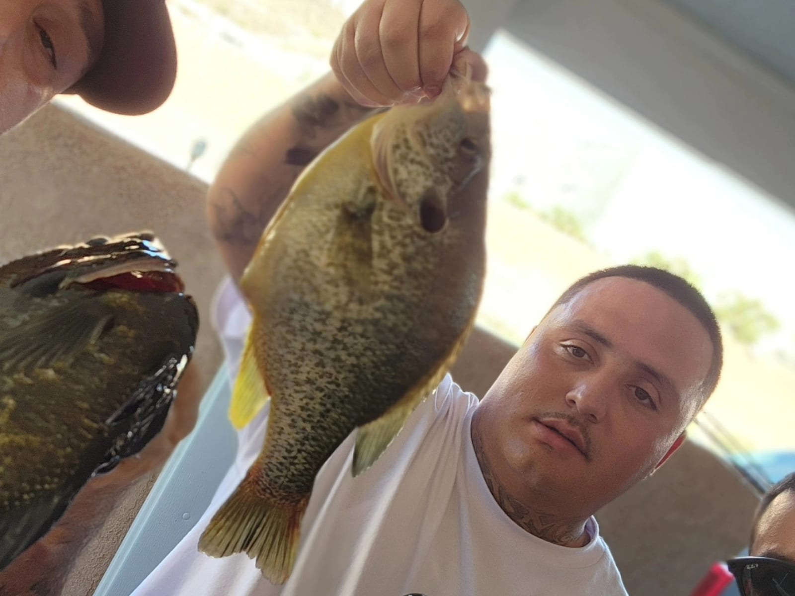 Customer catch — photo 14