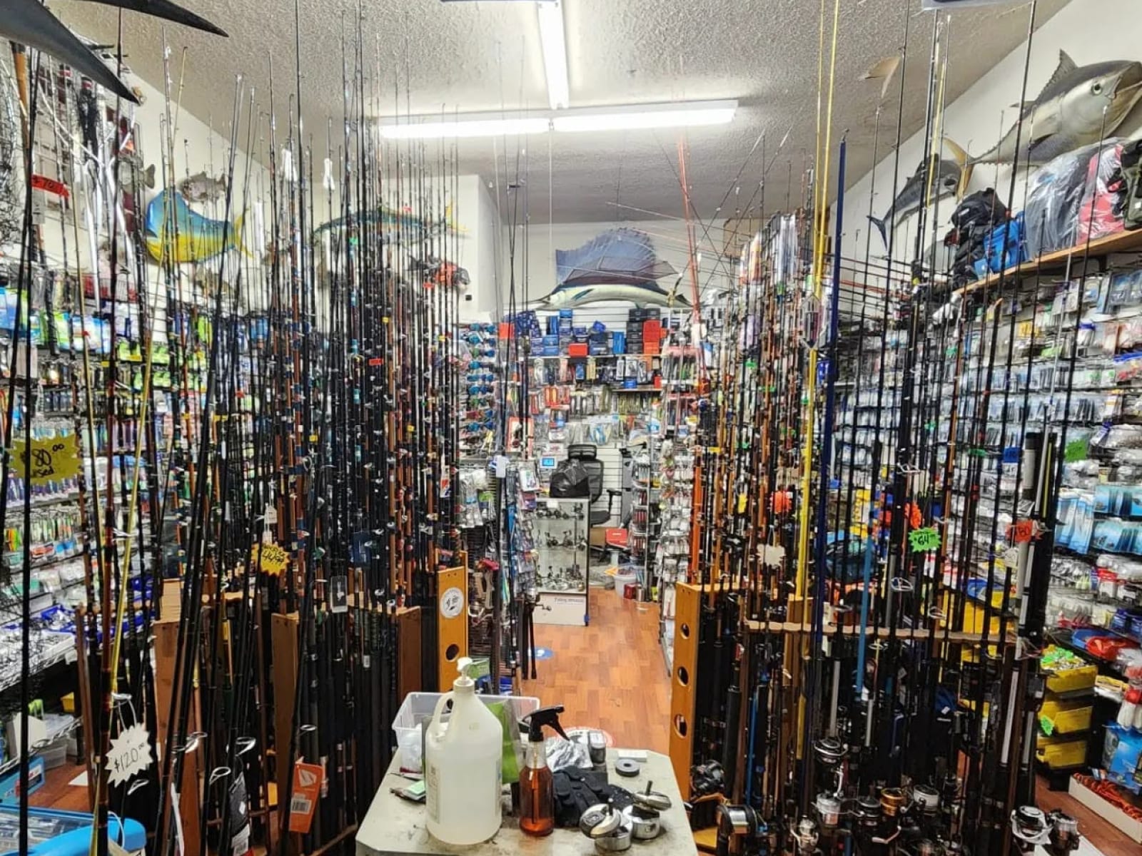Rods & Reels