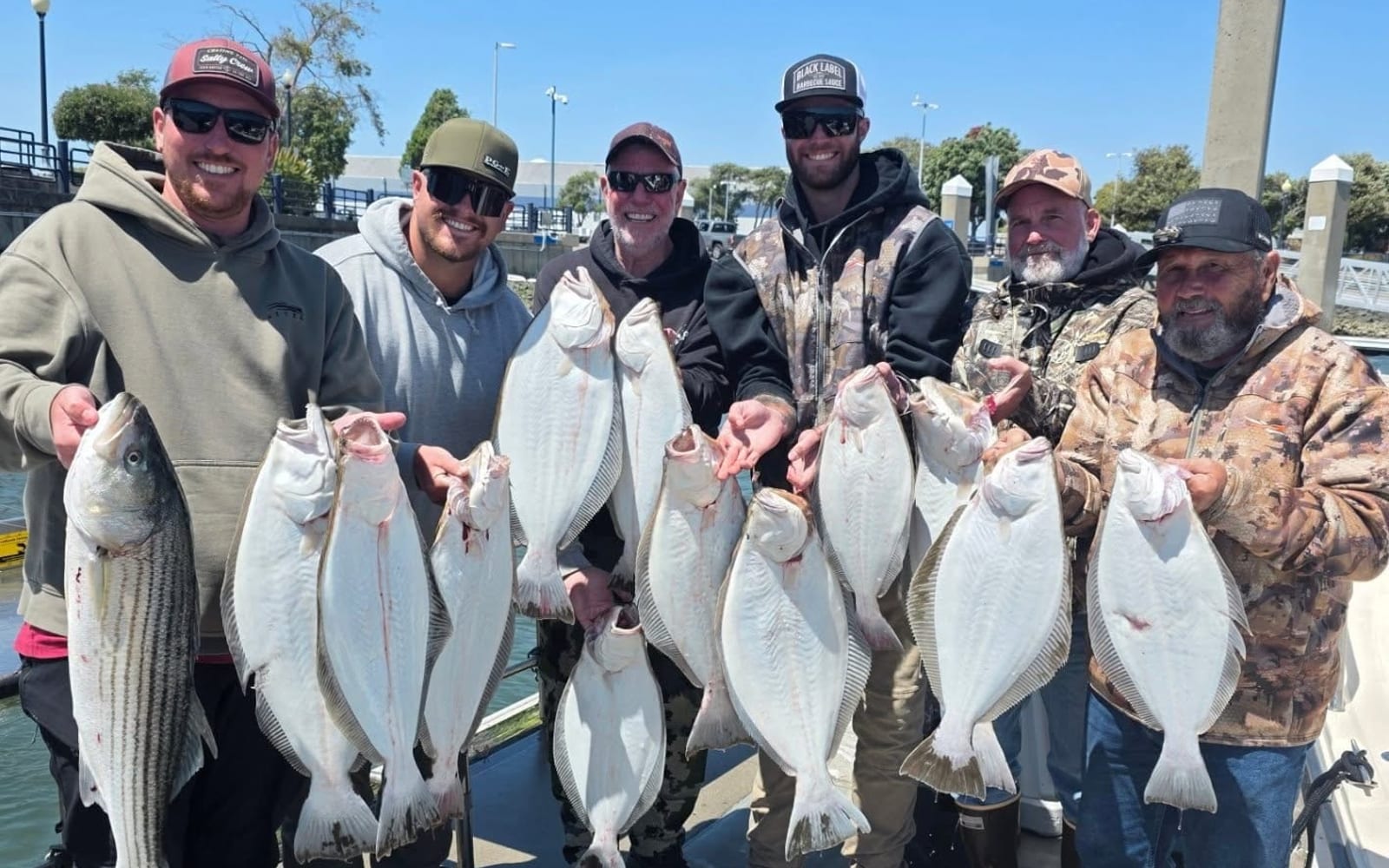 SF Bay Halibut & Striped Bass