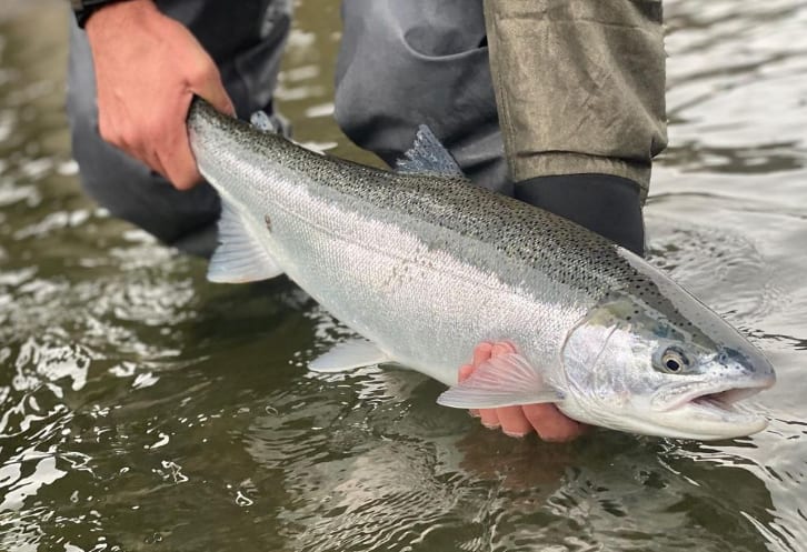 On the water with Ryan Tripp's Guide Service