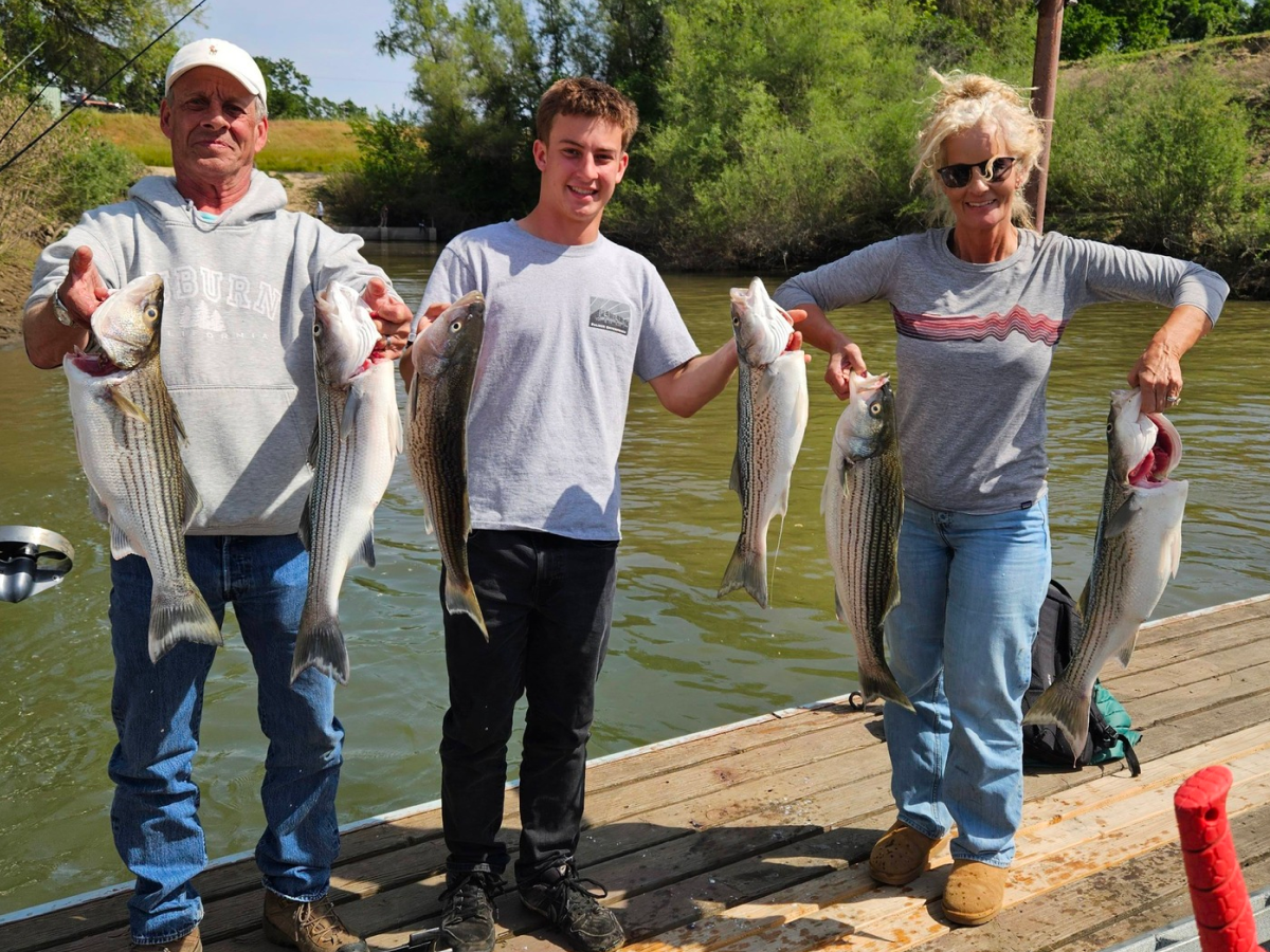 Guided trip catch