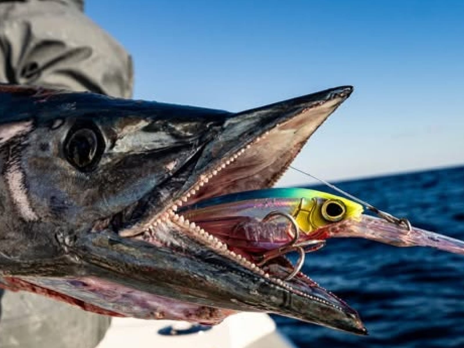 Customer catch — photo 4