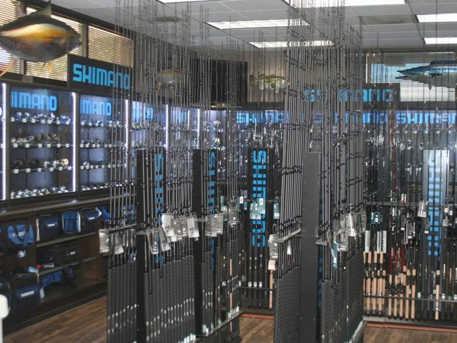 Inside The Longfin tackle shop — photo 6