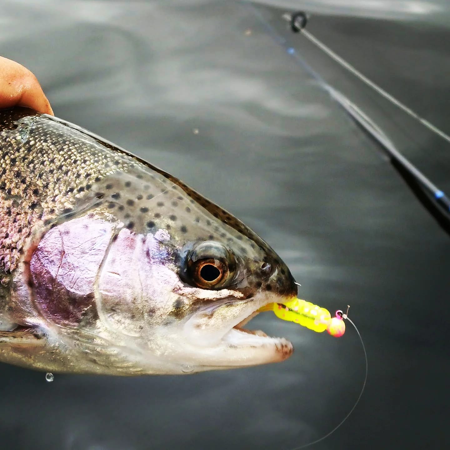 Top Notch Leadheads on the water
