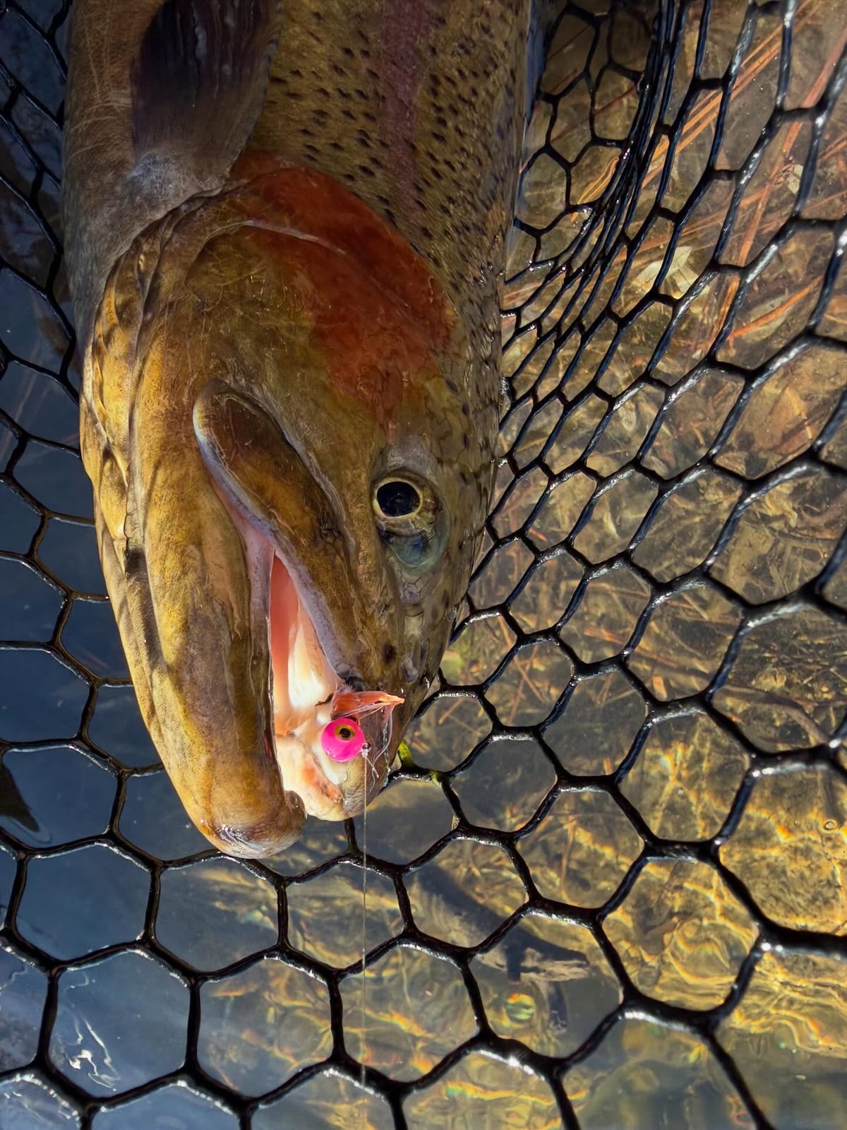 Top Notch Leadheads on the water