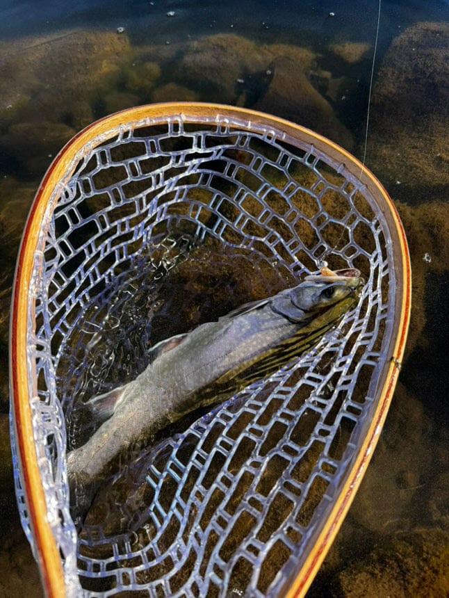 Trout Made Angler Co. on the water